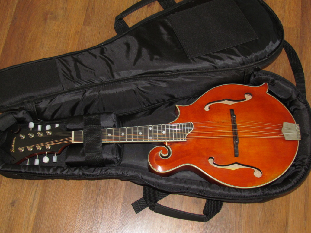 Eastman Deluxe Gig Bag