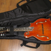 Eastman Deluxe Gig Bag