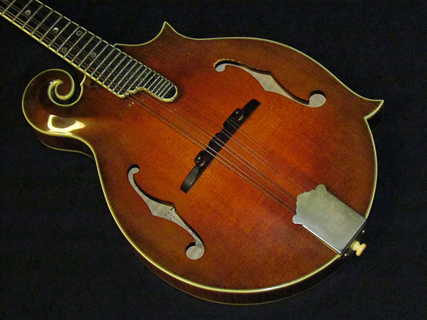 acoustic mandolins