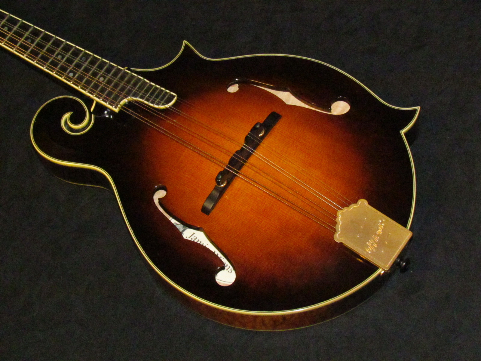 Mandomutt mandolins store